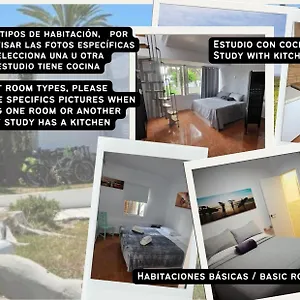 https://captain-morgan-house.tenerifehoteles.net